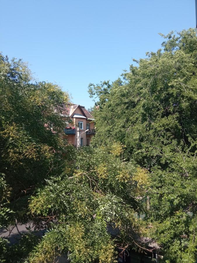 Free Parking, Balcony, Near To City Park Budapest Extérieur photo