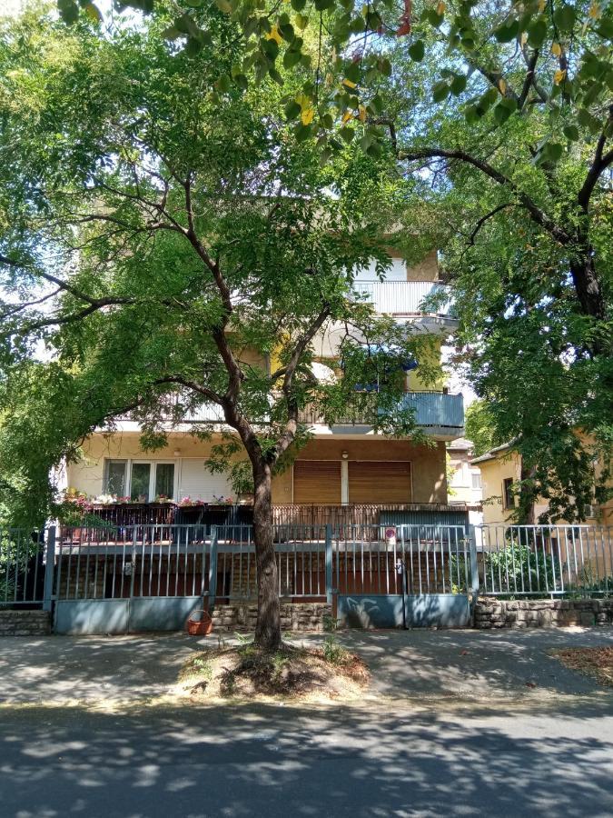 Free Parking, Balcony, Near To City Park Budapest Extérieur photo